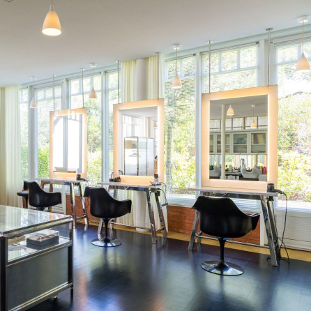 Soin Tokio Inkarami  et Brushing